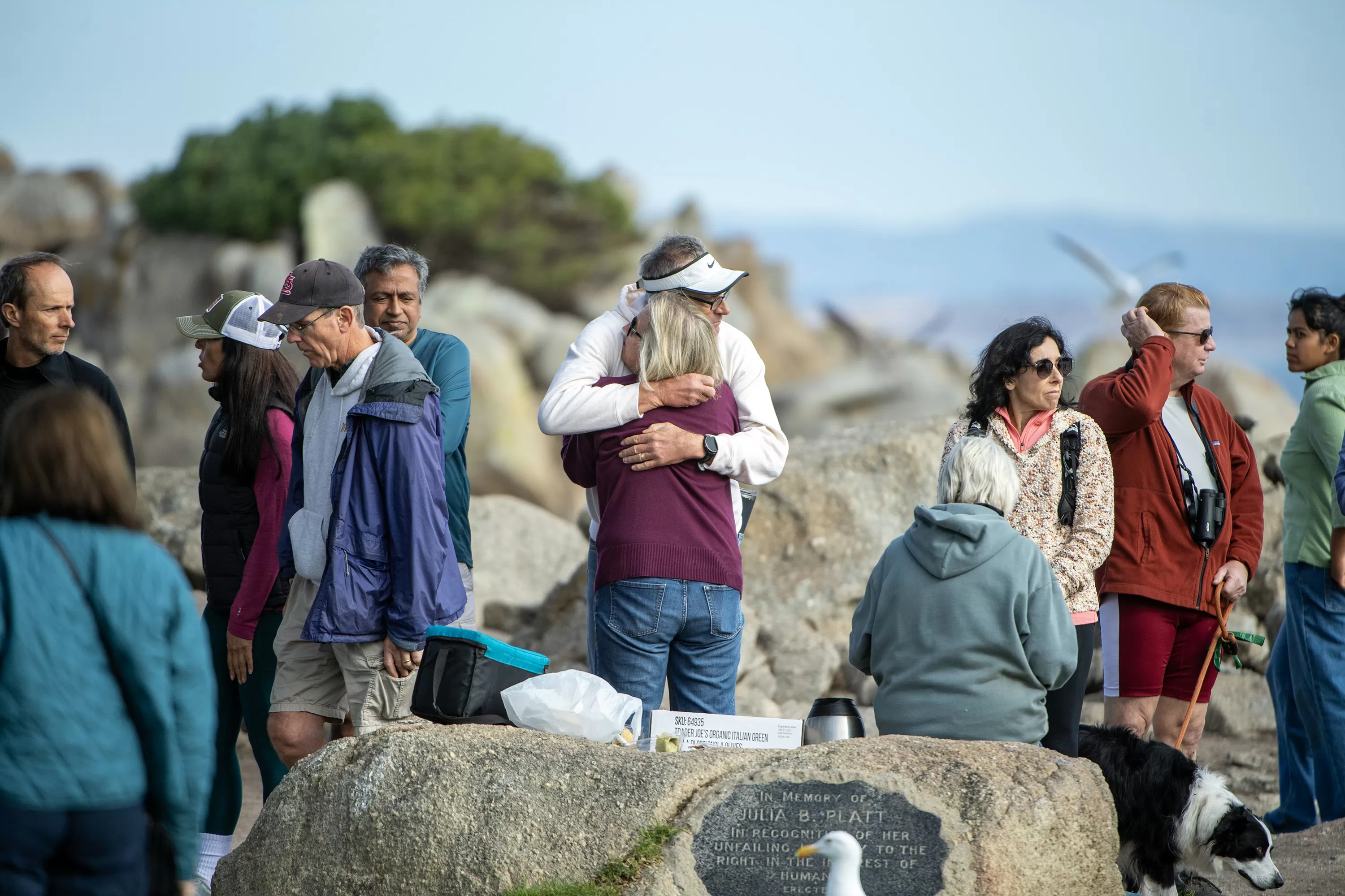She knew sharks — and their risks. Now the search for beloved swimmer Erica Fox continues off Pacific Grove