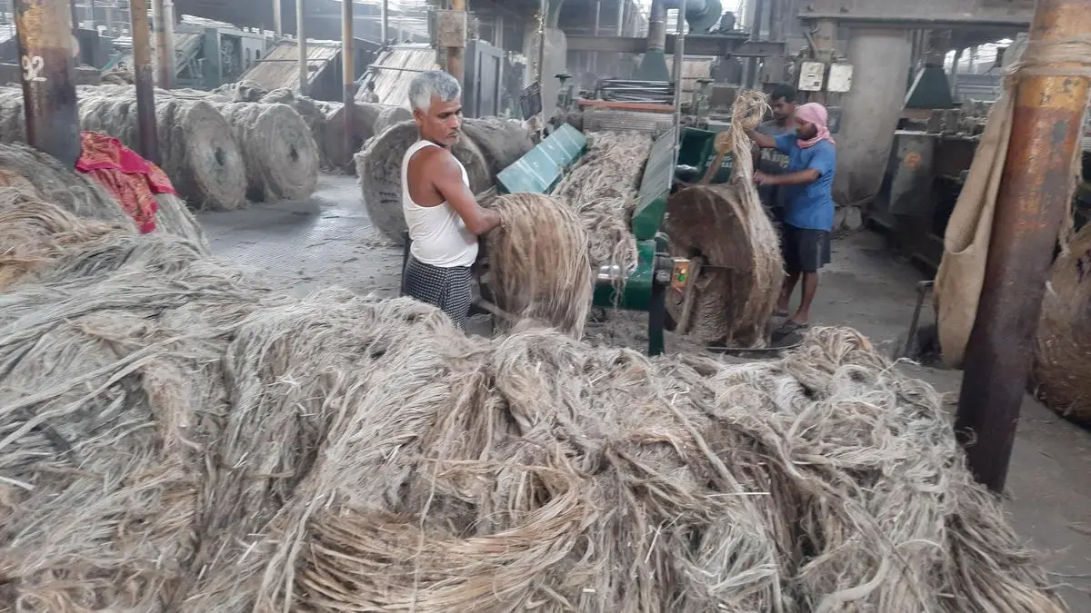 Jute mills cut output as raw jute prices cross ₹1.10 lakh per tonne