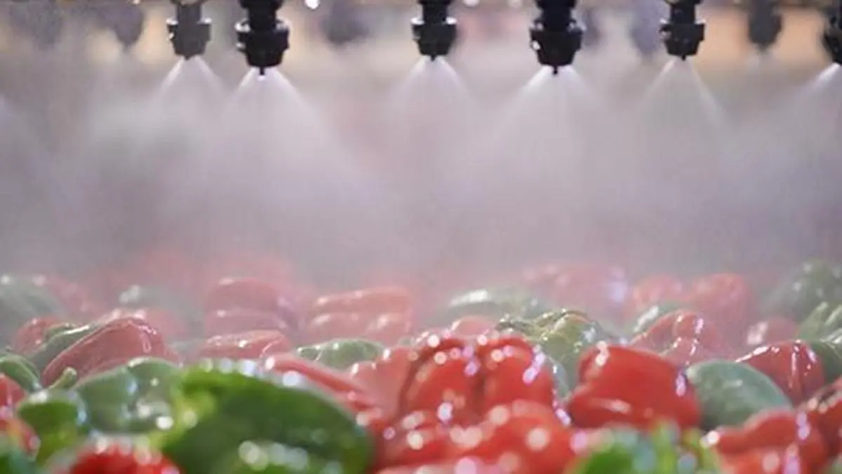 RM Drip to set up 12,000 tonne manufacturing plant in Maharashtra