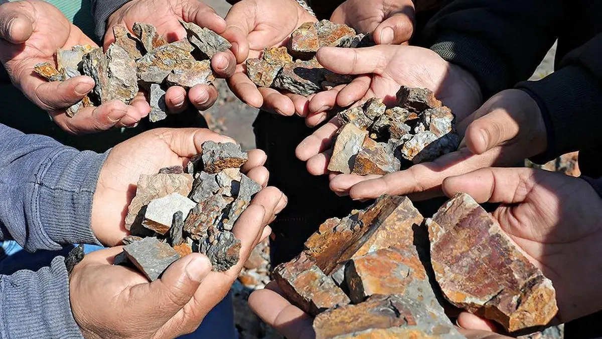 India to build end-to-end critical mineral value chains: Economic Survey