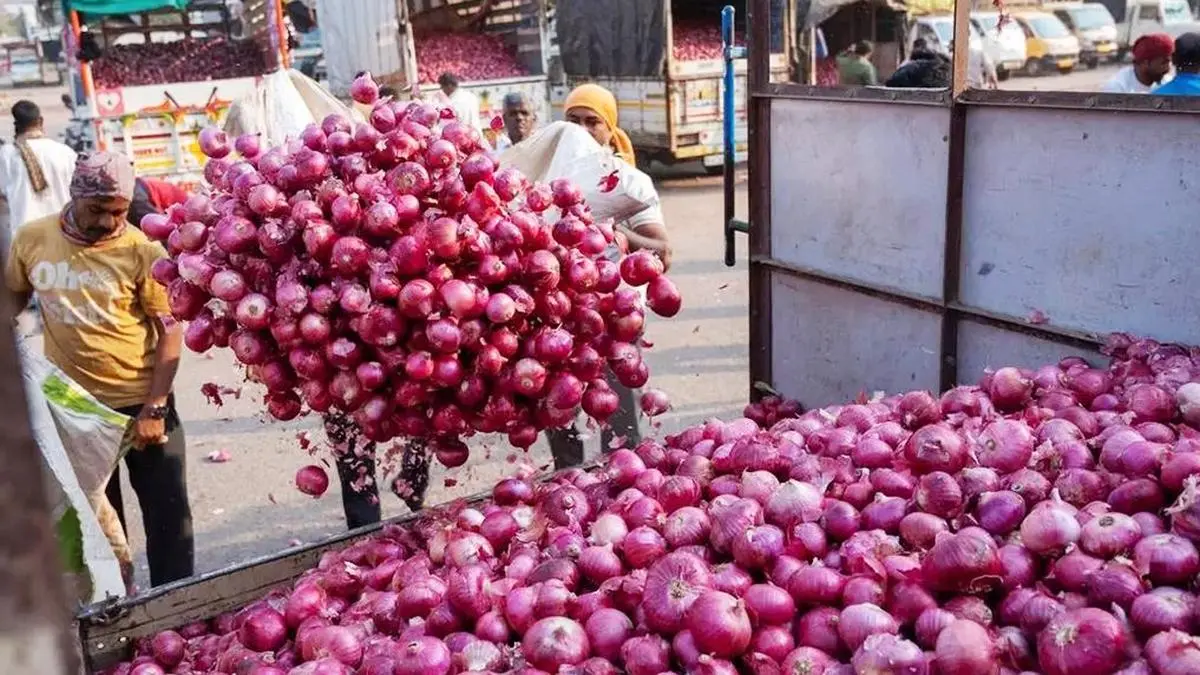 Slack demand, competition weigh on Indian onion exports
