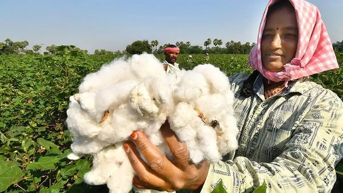India-US trade deal will boost demand, says Cotton trade body