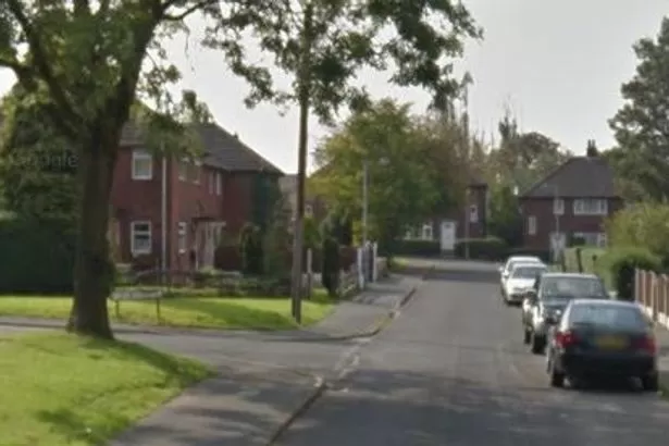 Armed police called as girl, 10, seriously injured in horror dog attack