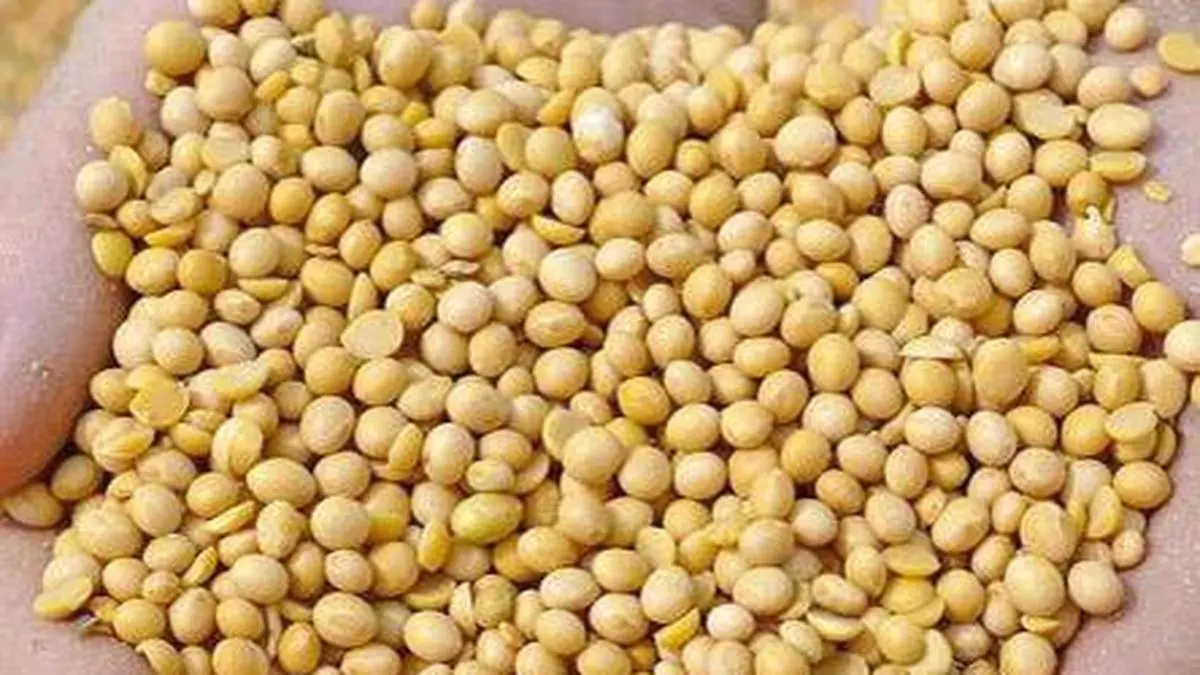 US said to have accepted India’s position on GM crops in lieu of concession on apples, nuts