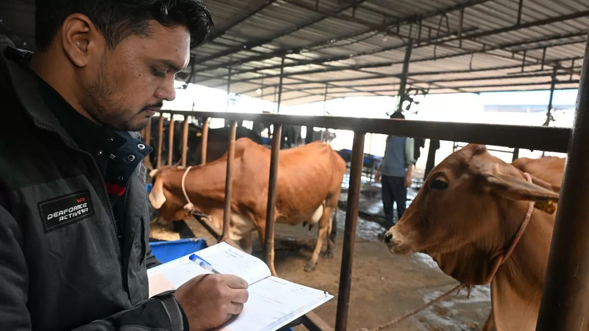 Dairy sector protected in US trade deal, says industry body