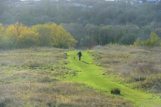 New law to hit dog walkers within weeks and could see people landed with eyewatering fines