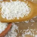 India’s NCEL to export 1,600 tonnes of white rice to Singapore