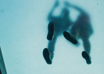 “The Power of Economía: Beyond Numbers and Graphs”