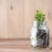 “The Vital Role of Economía in Society’s Growth and Development”