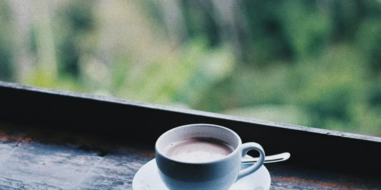 “Unlocking the Power of Finanzas: A Guide to Financial Stability”