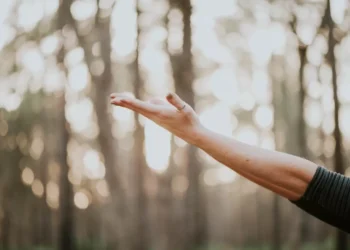 “Discover the Vibrant Culture of Caracas, Venezuela’s Capital”