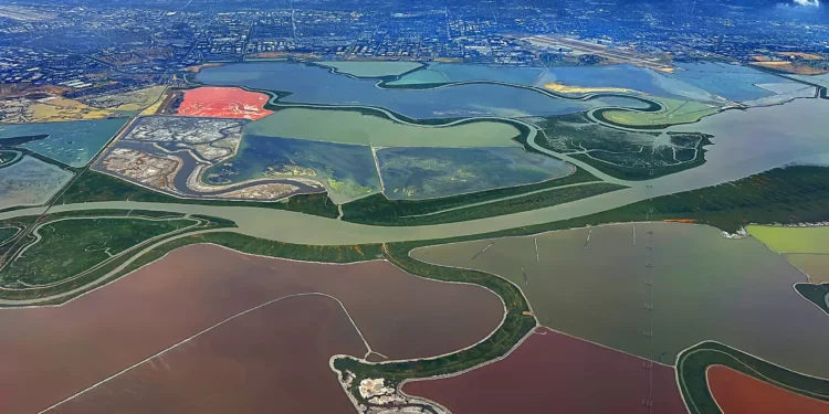 Salt ponds create colorful vista near Alviso
