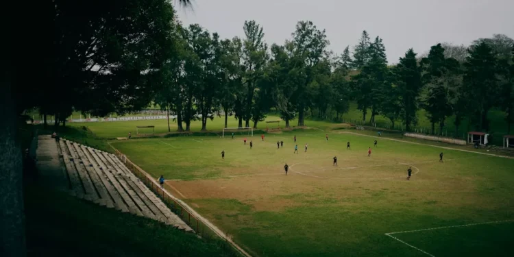 “The Universal Language of Sports: Uniting Communities Through Well-being”