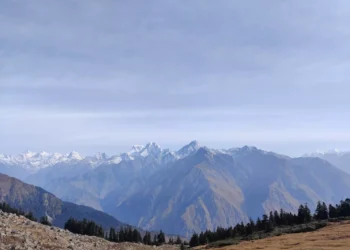 “The Importance of Prioritizing Salud in a Busy World”