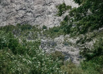 “The Importance of Art and Entertainment in Our Lives”