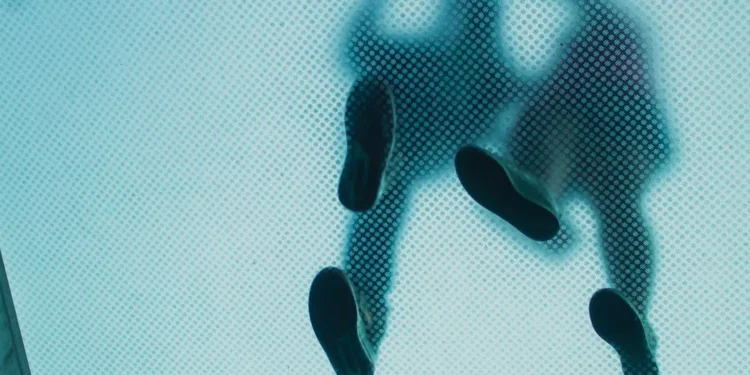 “The Power of Economía: Understanding the Backbone of Society”