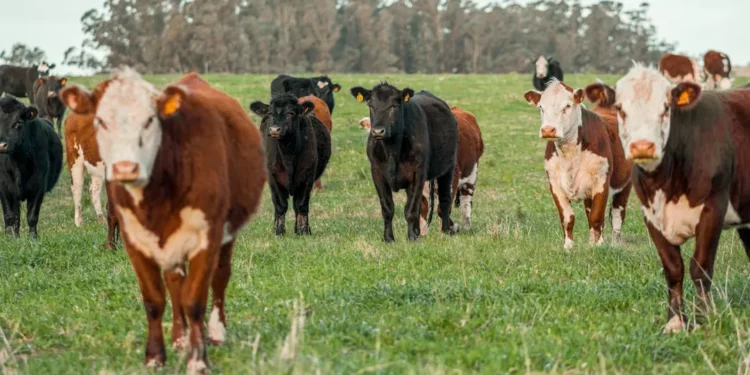 “The Impact and Evolution of Economía in Our Daily Lives”