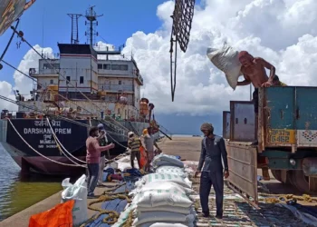 EU detects GM rice in Pakistan’s Basmati consignment