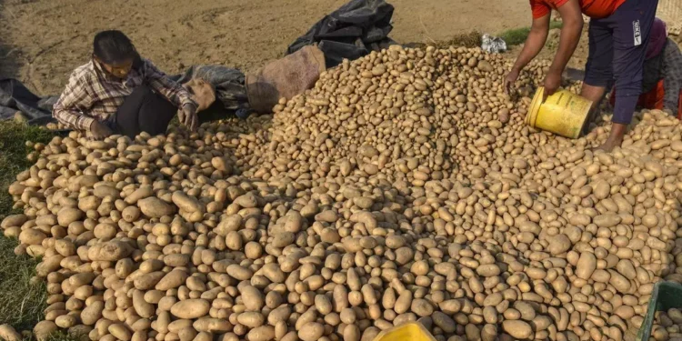 West Bengal govt to hold meeting with potato traders on August 20