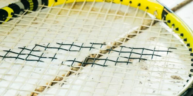 “The Enduring Impact of Sports Throughout History”