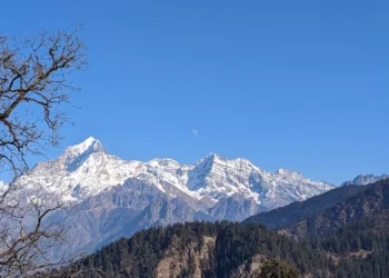 “Discovering the Hidden Gem of Salud, Mexico”