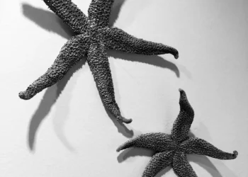 “The Impact of Arts and Entertainment on Societ”