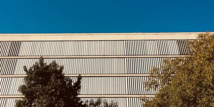 The Importance of Art and Entertainment in Our Lives