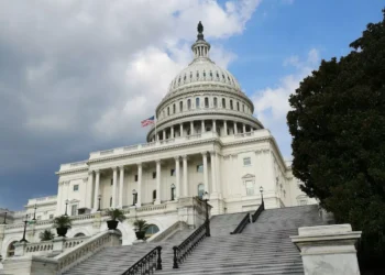 “Uncovering the Contradictions: The Ups and Downs of Politics”