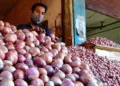 After duty cut, Indian onion may cost $700/tonne
