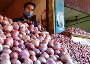 After duty cut, Indian onion may cost $700/tonne