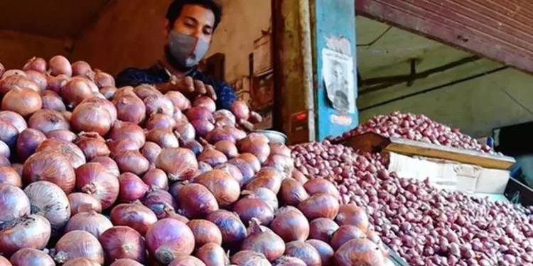 After duty cut, Indian onion may cost $700/tonne