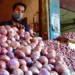 After duty cut, Indian onion may cost $700/tonne
