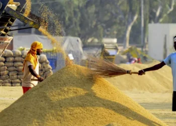 Punjab likely to miss paddy procurement target on high State levies