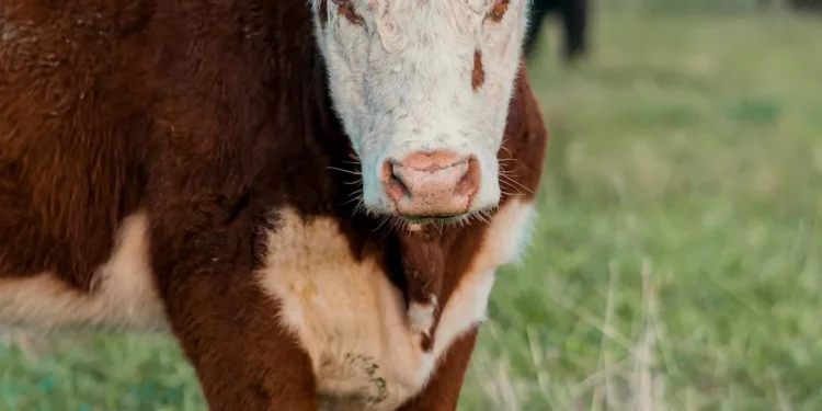 “The Fascinating World of Economics: From Students to Professionals”