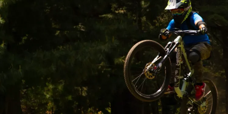 “The Enduring Impact of Sports on Human Society”