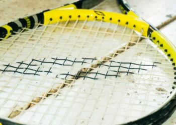 “The Enduring Impact of Sports on Human Culture”