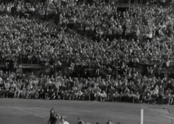 “The Power of Sports: Building Community and Promoting Health”