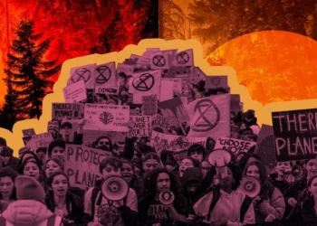 A New Way to See Your Climate Anxiety