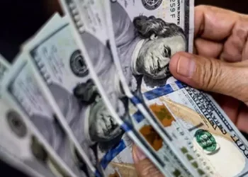 FPIs ease equity sell-off, boost primary market bets in December