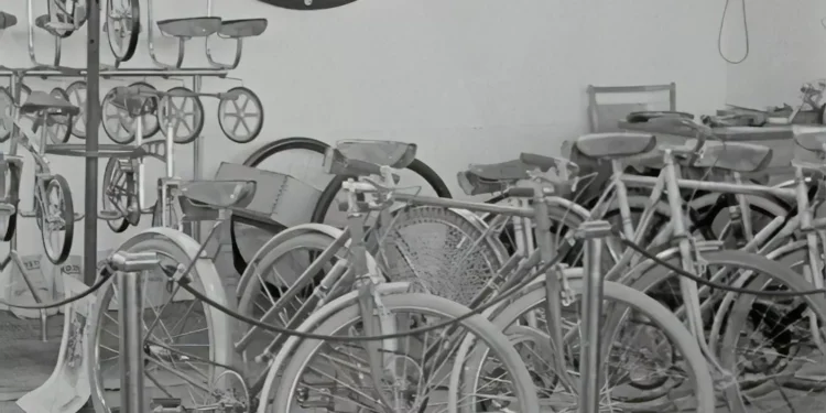 “The Holistic Nature of Economía: Beyond Financial Success”