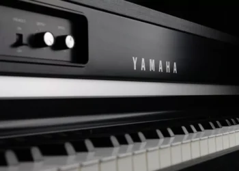 “The Power of Música: Connecting People Through Universal Language”