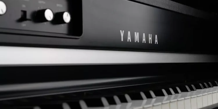 “The Power of Música: Connecting People Through Universal Language”