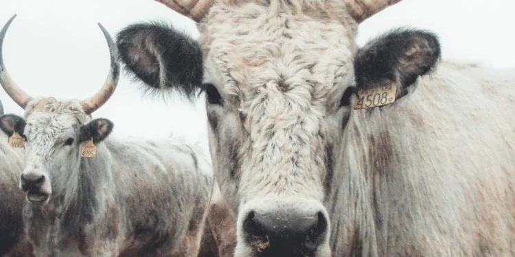 “Discovering the Bright Side of : Overcoming Fear and Uncertainty”