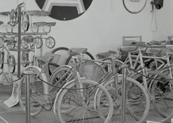 “The Significance of Economía in Our Society”