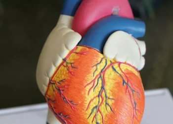 “Discover the Hidden Gem of Salud, Venezuela”