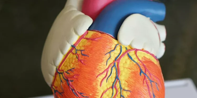 “Discover the Hidden Gem of Salud, Venezuela”