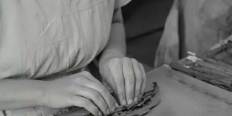 “Revitalizing the Spanish Economy: Success Stories from Companies”