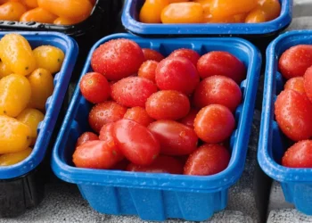 “Embracing the Positive Side of Sucesos: Transforming Events into Experiences”