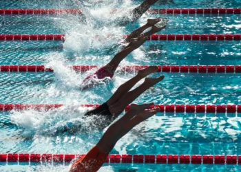 The Importance of Sports in Our Lives