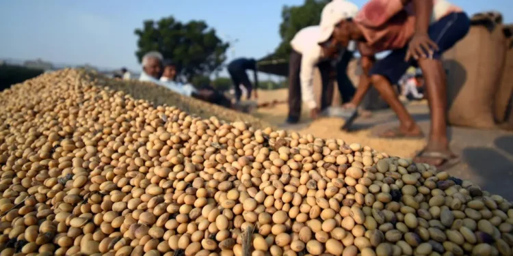 SOPA urges government not to allow open market sale of soyabean procured under PSS till July